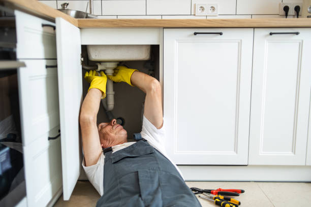 Best Clogged Drain Plumber  in Wayne, WV